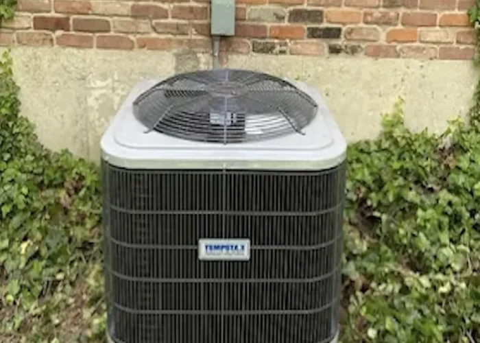 Outdoor air conditioning condenser unit beside a brick wall with ivy growing around it.
